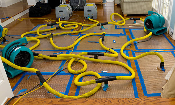 Professional Storm Water Damage Restoration technician working in Elwood, UT